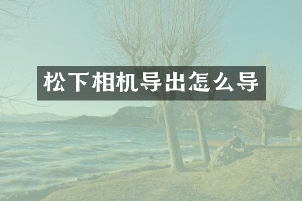 松下相机导出怎么导