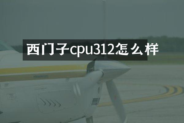 西门子cpu312怎么样