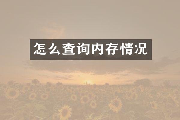 怎么查询内存情况