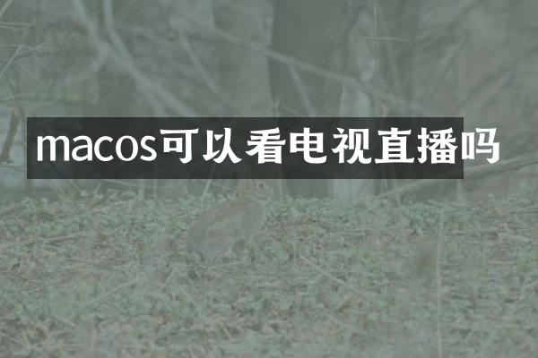 macos可以看电视直播吗