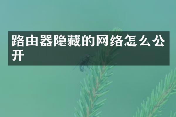路由器隐藏的网络怎么公开
