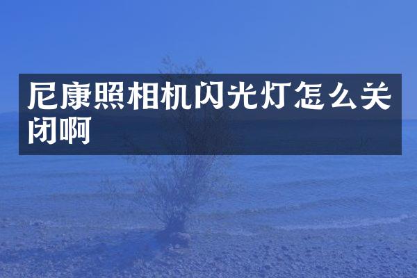 尼康照相机闪光灯怎么关闭啊