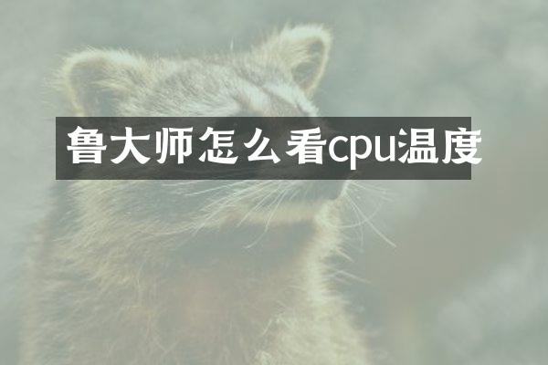 鲁大师怎么看cpu温度