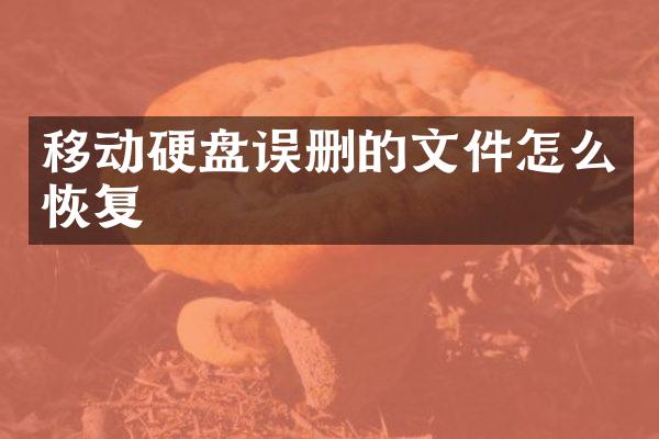 移动硬盘误删的文件怎么恢复