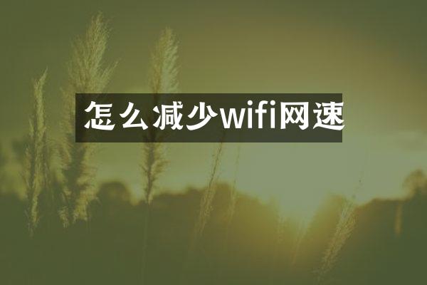 怎么减少wifi网速