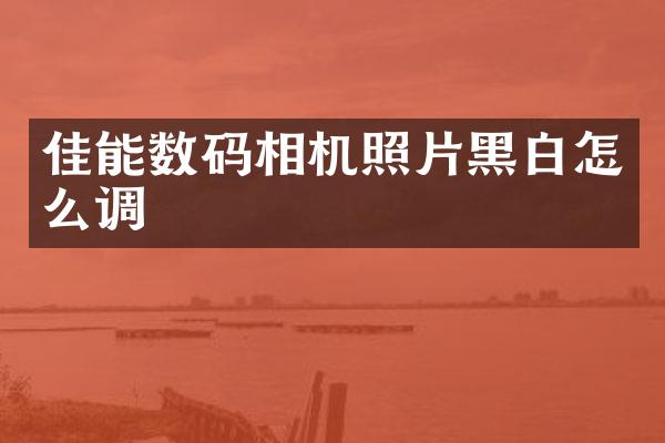 佳能数码相机照片黑白怎么调