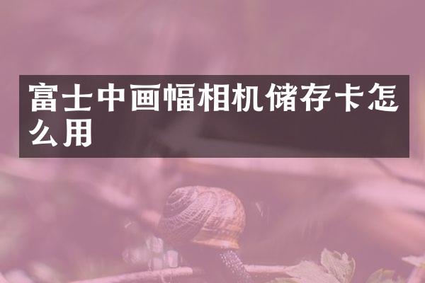 富士中画幅相机储存卡怎么用