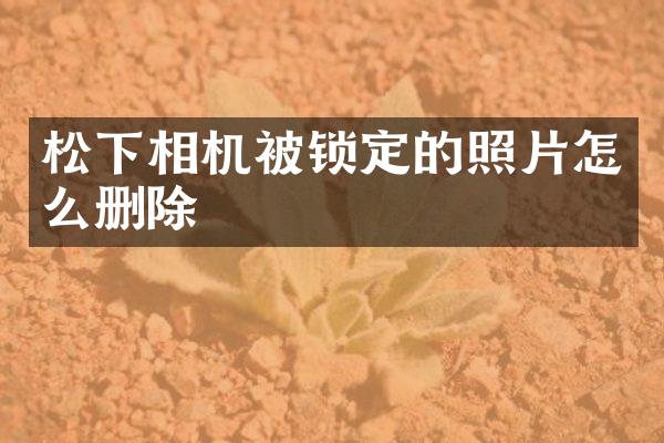 松下相机被锁定的照片怎么删除