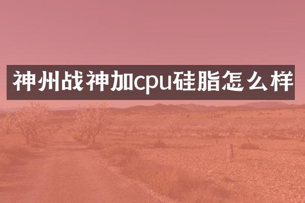神州战神加cpu硅脂怎么样