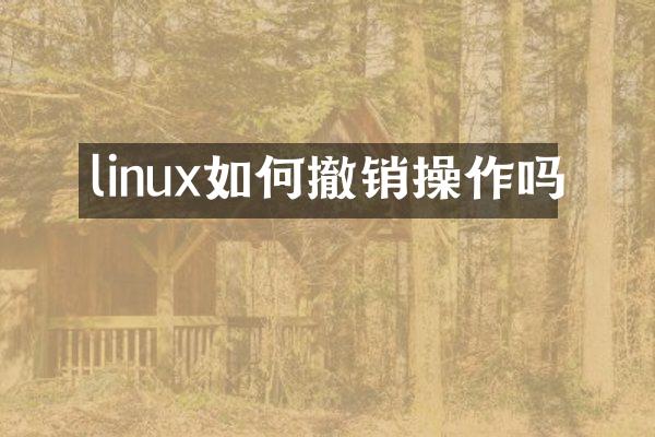 linux如何撤销操作吗