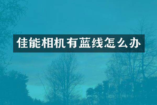 佳能相机有蓝线怎么办