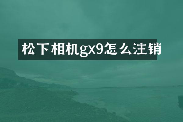 松下相机gx9怎么注销