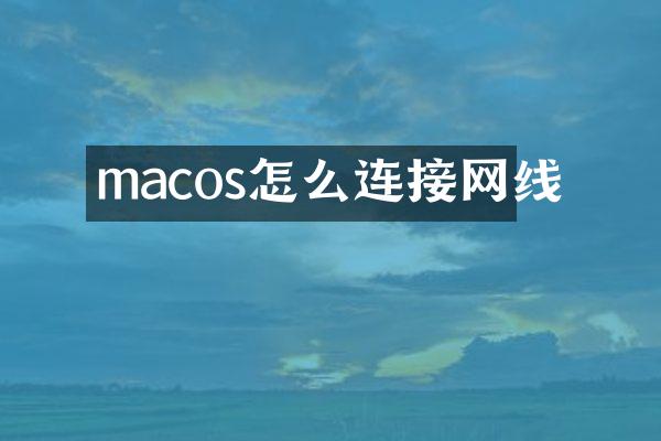 macos怎么连接网线