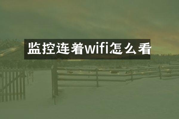 监控连着wifi怎么看