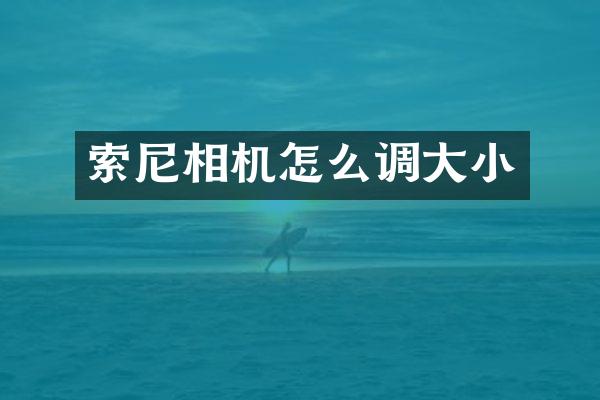 索尼相机怎么调大小