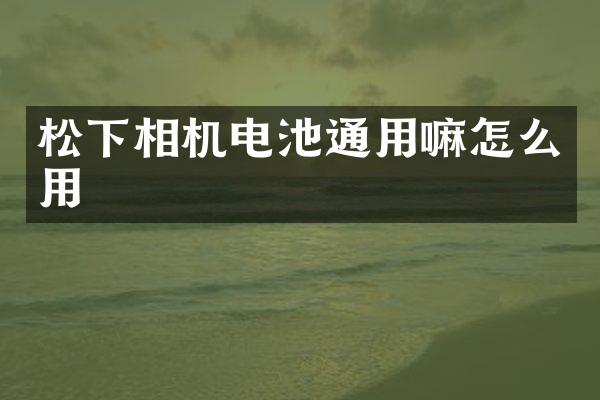 松下相机电池通用嘛怎么用