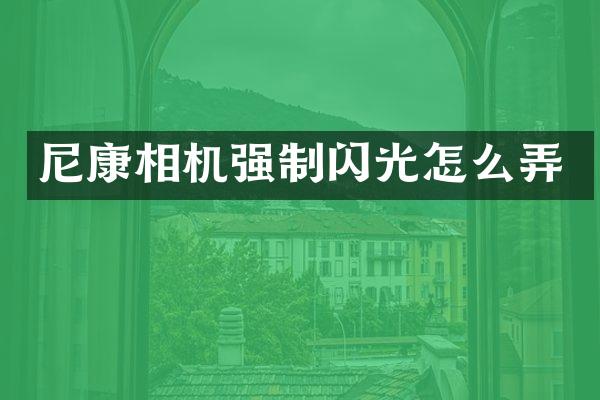 尼康相机强制闪光怎么弄