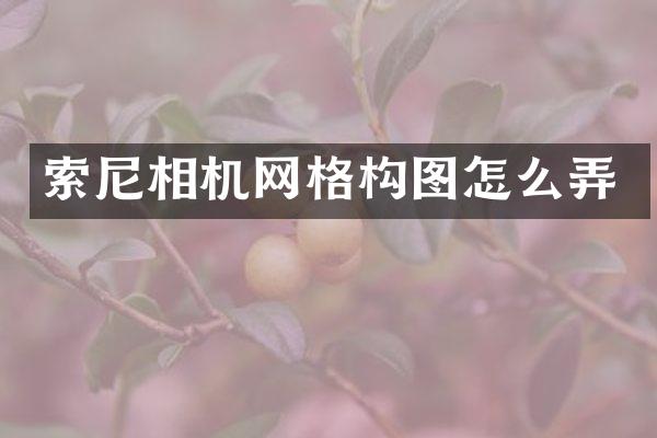 索尼相机网格构图怎么弄