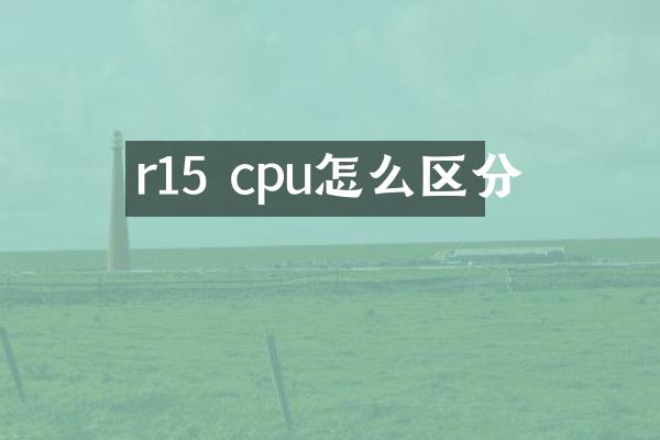 r15 cpu怎么区分