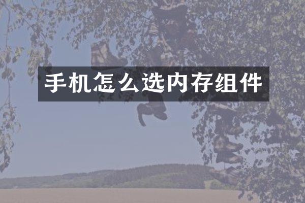 手机怎么选内存组件