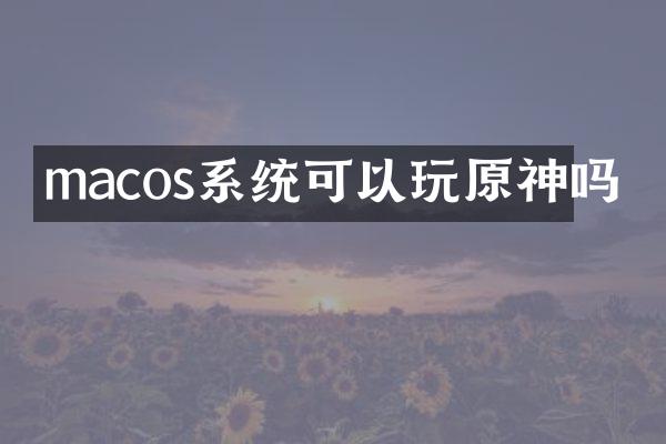 macos系统可以玩原神吗