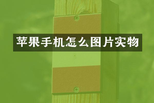 苹果手机怎么图片实物