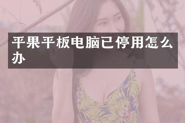 平果平板电脑已停用怎么办