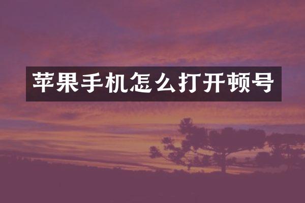 苹果手机怎么打开顿号