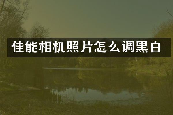 佳能相机照片怎么调黑白