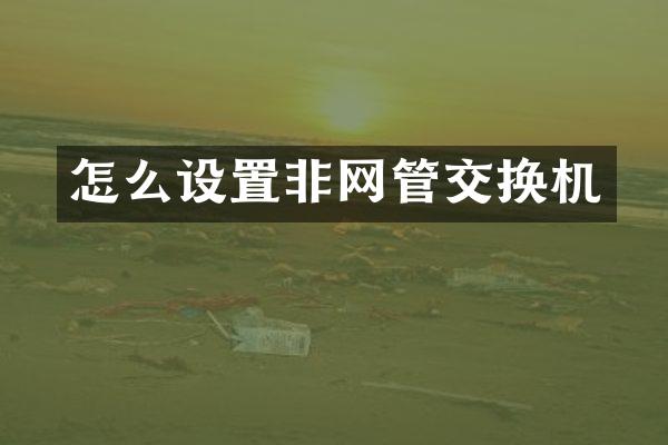 怎么设置非网管交换机