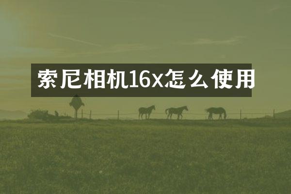 索尼相机16x怎么使用