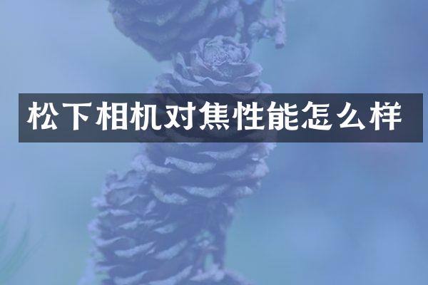 松下相机对焦性能怎么样