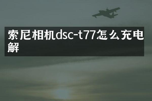 索尼相机dsc-t77怎么充电图解