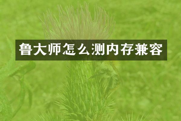 鲁大师怎么测内存兼容