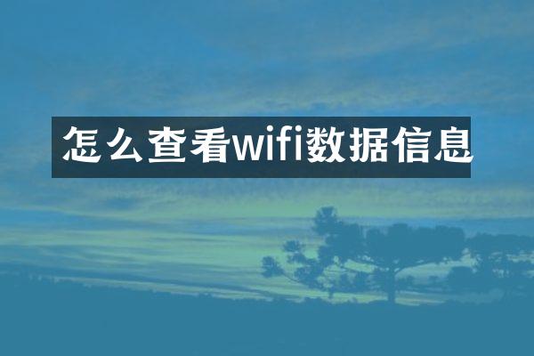 怎么查看wifi数据信息