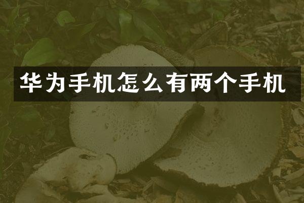 华为手机怎么有两个手机