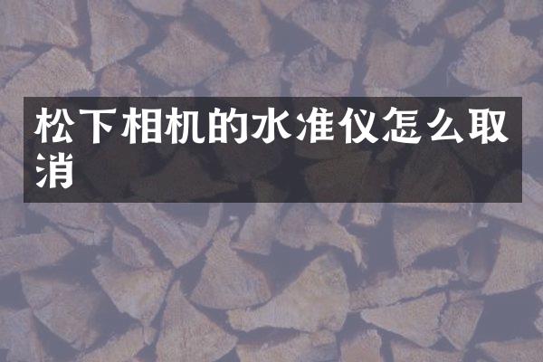 松下相机的水准仪怎么取消
