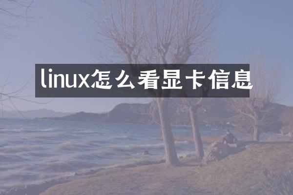 linux怎么看显卡信息