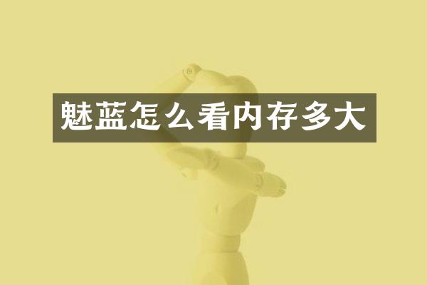 魅蓝怎么看内存多大
