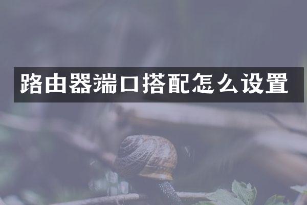 路由器端口搭配怎么设置