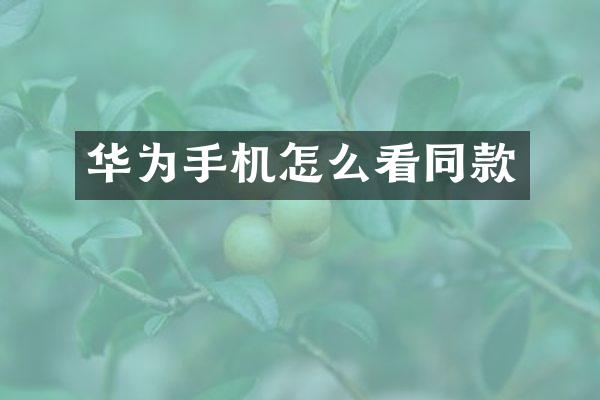 华为手机怎么看同款
