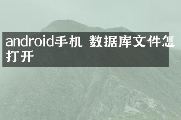 android手机 数据库文件怎么打开