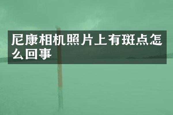 尼康相机照片上有斑点怎么回事