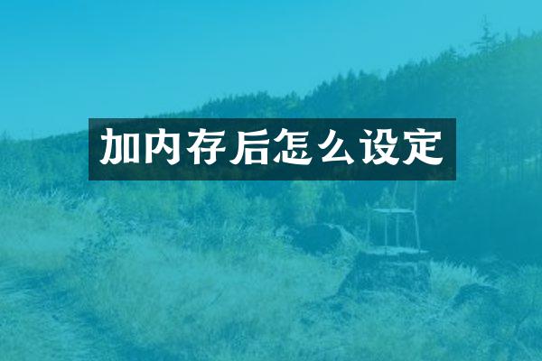 加内存后怎么设定