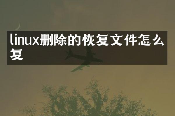 linux删除的恢复文件怎么恢复