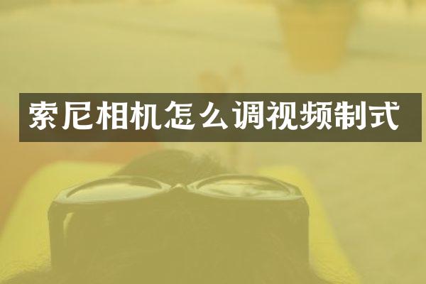 索尼相机怎么调视频制式