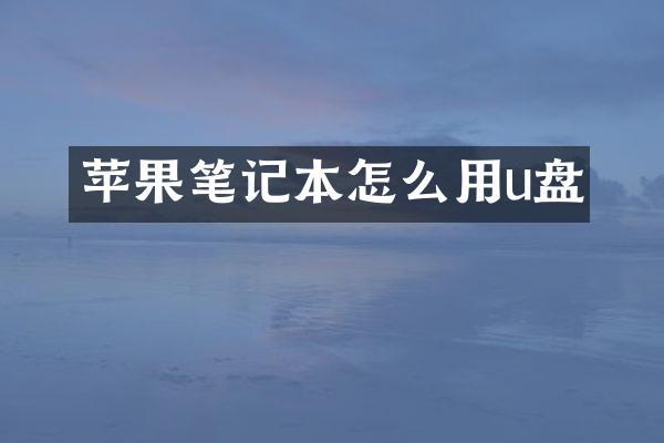 苹果笔记本怎么用u盘