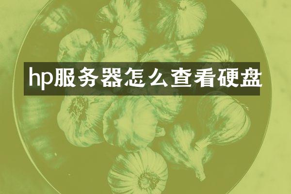 hp服务器怎么查看硬盘