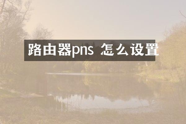 路由器pns 怎么设置