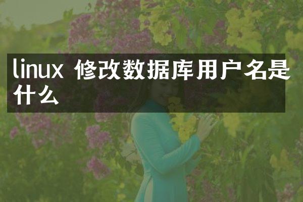 linux 修改数据库用户名是什么